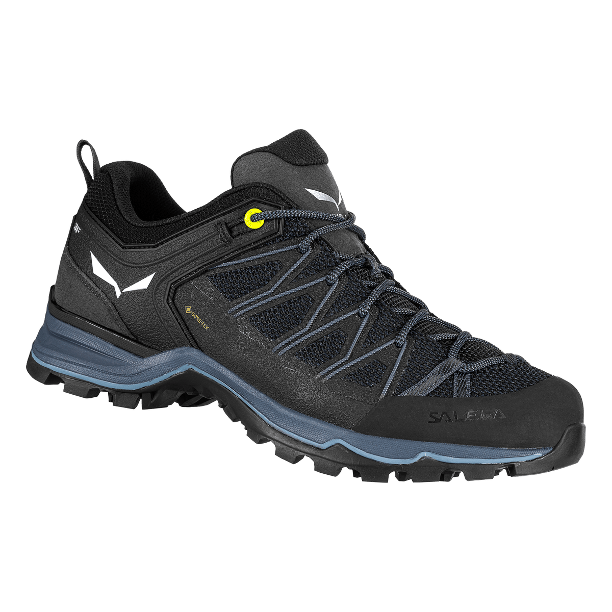 Salewa MTN Trainer Lite GTX